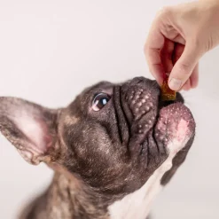 Farmland Traditions Tiny Loves Chicken with Bone Broth Jerky Dog Treats