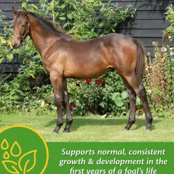 Farnam Grow Colt Growth & Development Horse Supplement