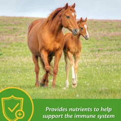 Farnam Grow Colt Growth & Development Horse Supplement