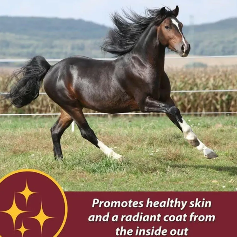 Farnam Laser Sheen Skin & Coat Supplement For Horses