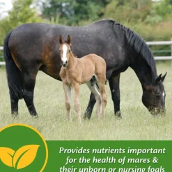 Farnam Mare Plus Gestation & Lactation Supplement for Horses