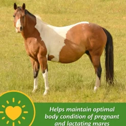 Farnam Mare Plus Gestation & Lactation Supplement for Horses