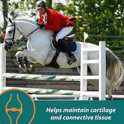 Farnam Next Level Joint Fluid Supplement, Supports Healthy Hip & Joint Function for Horses & Dogs (16 oz)