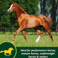 Farnam Weight Builder Equine Weight Supplement (7.5 lb)