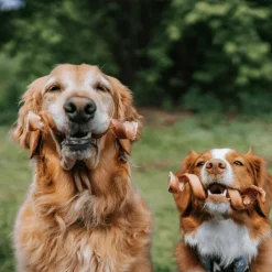 Fieldcrest Farms Nothin' to Hide Collagen & Bully Spirals Treats For Dogs