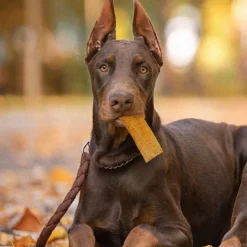 Fieldcrest Farms Nothin' to Hide Chicken Flavor Flip Chips Chew Treats For Dogs (8 ct)