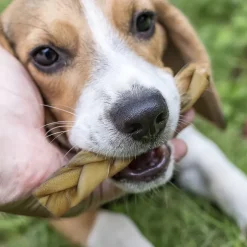 Fieldcrest Farms Premium Dog Chews 6