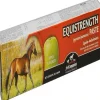 First Companion Apple Flavored Equistrength Paste For Horses (23.6 g)