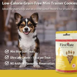 FirstMate Cage Free Chicken Meal & Blueberries Mini Trainers Grain Free Dog Treats (8 oz)