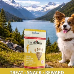 FirstMate Cage Free Chicken Meal & Blueberries Mini Trainers Grain Free Dog Treats (8 oz)