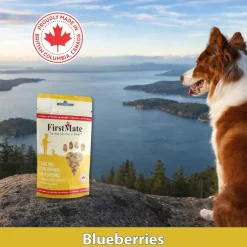FirstMate Cage Free Chicken Meal & Blueberries Mini Trainers Grain Free Dog Treats (8 oz)