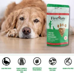 FirstMate Cage Free Duck Meal & Blueberries Mini Trainers Grain Free Dog Treats (8 oz)
