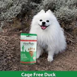 FirstMate Cage Free Duck Meal & Blueberries Mini Trainers Grain Free Dog Treats (8 oz)