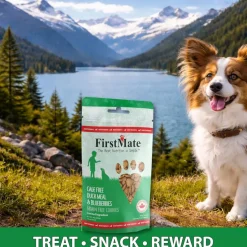 FirstMate Cage Free Duck Meal & Blueberries Mini Trainers Grain Free Dog Treats (8 oz)