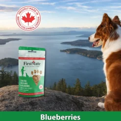 FirstMate Cage Free Duck Meal & Blueberries Mini Trainers Grain Free Dog Treats (8 oz)