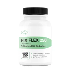 Fix Flex (Cephalexin) Capsules Fish Antibiotics
