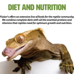 Fluker's Freeze-Dried Grasshoppers for Reptiles & Birds Treats (1 oz)