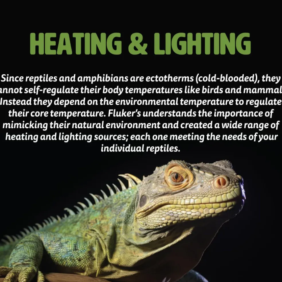 Fluker's Full-Spectrum Daylight Bulb for Reptiles