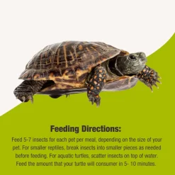 Fluker's Grub Bag Turtle Treats, Insect Blend
