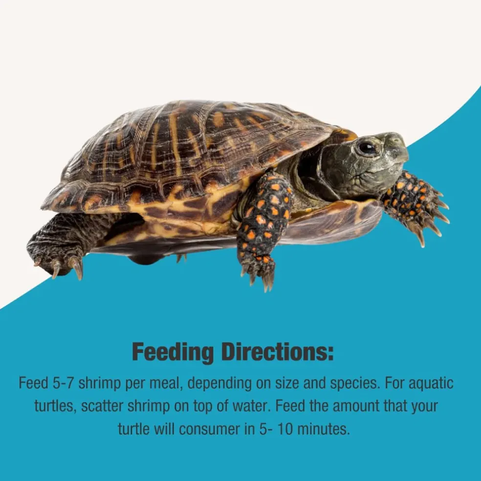 Fluker's Grub Bag Turtle Treats River, Shrimp