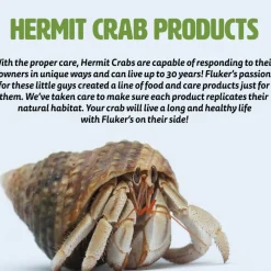 Fluker's Hermit Headquarters Instant Fruit Treat with Interactive Feeding Kit for Hermit Crabs (0.7 oz)