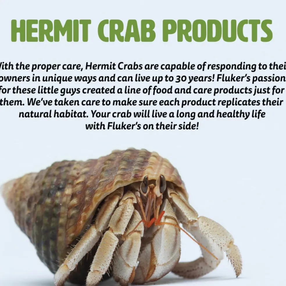 Fluker's Hermit Headquarters Instant Fruit Treat with Interactive Feeding Kit for Hermit Crabs (0.7 oz)
