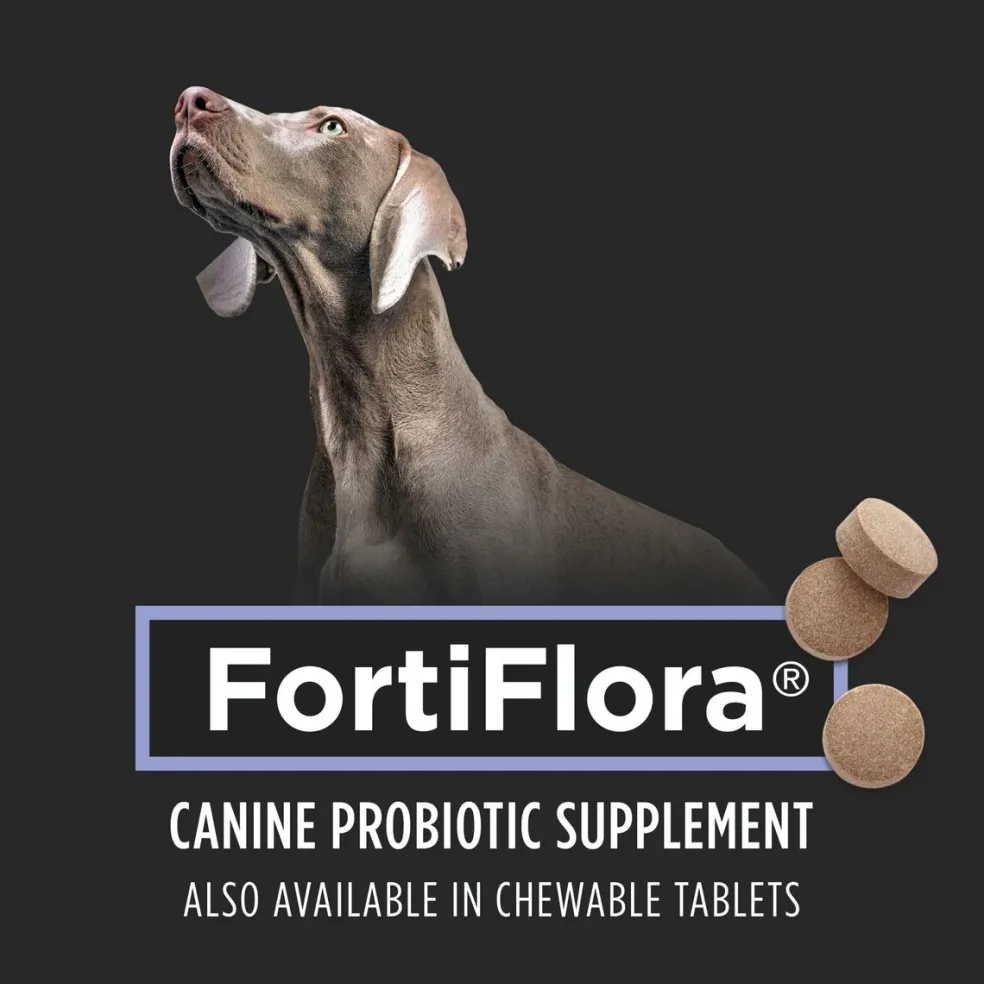 FortiFlora Canine Probiotic