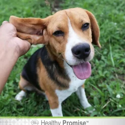 Four Paws Healthy Promise Ear Wash for Dogs & Cats (4 oz)