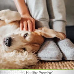 Four Paws Healthy Promise Ear Wipes For Cats & Dogs (25 ct)