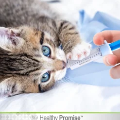 Four Paws Healthy Promise Easy Feeder Pet Feeding Syringe For Pets