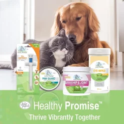 Four Paws Healthy Promise Easy Feeder Pet Feeding Syringe For Pets