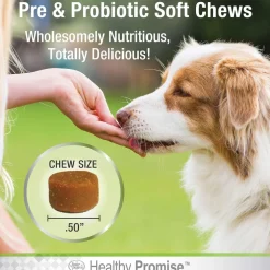 Four Paws Healthy Promise Pre & Probiotics Soft Chews For Dogs (90 ct)