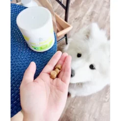 Four Paws Healthy Promise Pre & Probiotics Soft Chews For Dogs (90 ct)