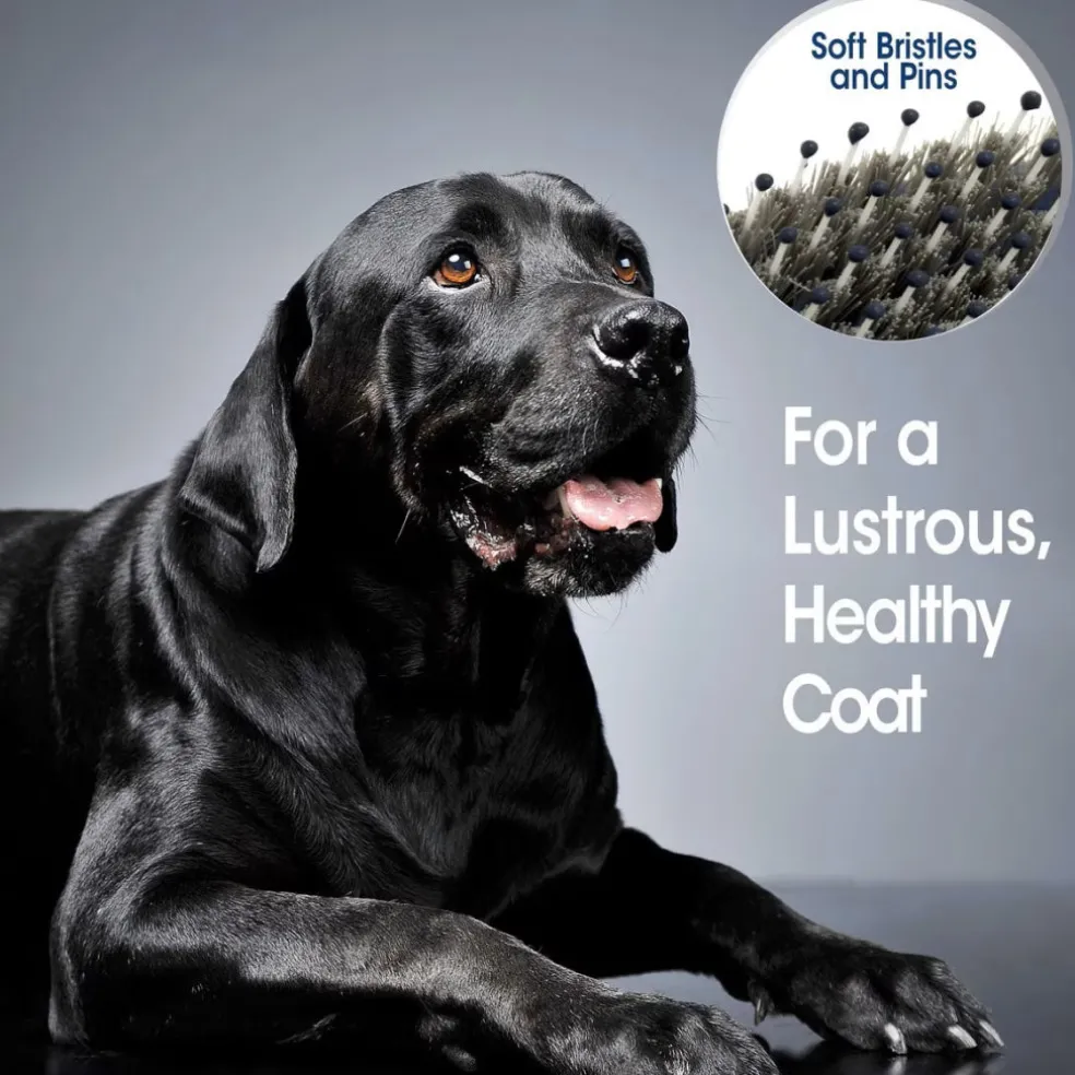 Four Paws Magic Coat Professional Series Flex & Contour Pin and Bristle Brush for Dogs