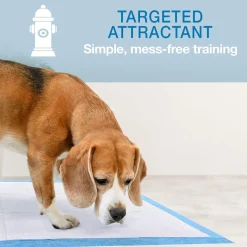 Four Paws No Worries 12-Hour Dog Training Pads - 22 x 22 inch (100 ct)