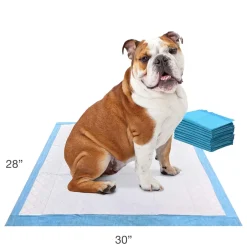 Four Paws Wee-Wee Odor Control Dog Training Pads with Febreze Freshness- 22x23