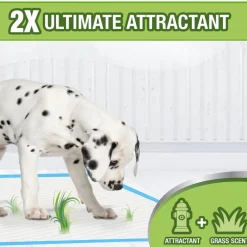 Four Paws Wee-Wee Ultimate Attractant Dog Pee Pads with Grass Scent - 22 x 23 inch