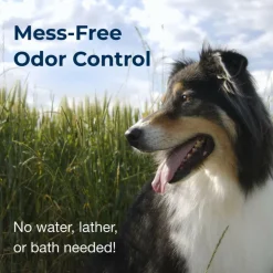 Fresh 'n Clean Cologne Spray for Dogs- Fresh Floral Scent (12 oz)