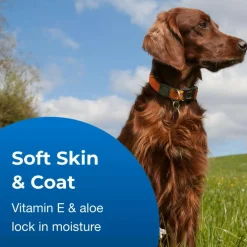 Fresh 'n Clean Scented Shampoo For Dogs- Classic Fresh Scent
