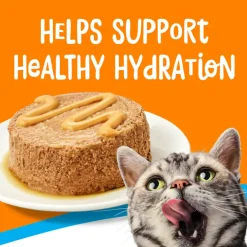 Friskies lil' Lickables Tuna & Chicken Variety Pack Lickable Cat Treats (10 ct)