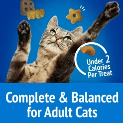 Friskies Party Mix Beachside Crunch Cat Treats
