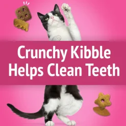 Friskies Party Mix California Crunch Cat Treats
