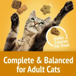 Friskies Party Mix Cheezy Craze Crunch Cat Treats