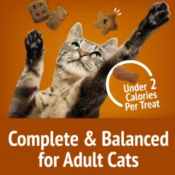 Friskies Party Mix Chicken Lovers Crunch Cat Treats
