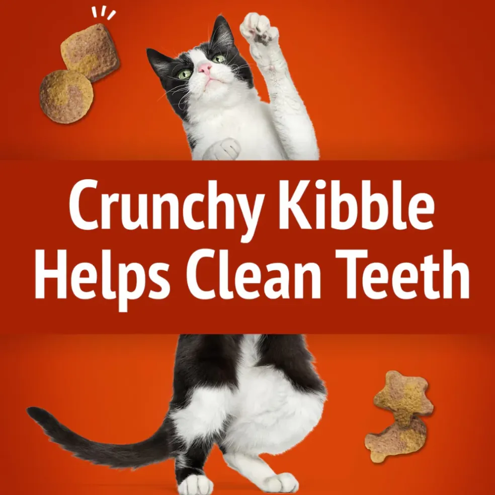 Friskies Party Mix Gravy-Licious Crunch Chicken & Gravy Cat Treats