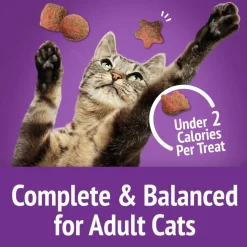 Friskies Party Mix Gravy-Licious Crunch Turkey & Gravy Cat Treats (2.1 oz)