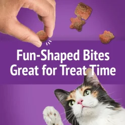 Friskies Party Mix Gravy-Licious Crunch Turkey & Gravy Cat Treats (2.1 oz)