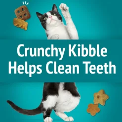 Friskies Party Mix Meow Luau Crunch Cat Treats (2.1 oz)