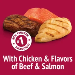 Friskies Party Mix Mixed Grill Crunch Cat Treats