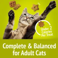 Friskies Party Mix Morning Much Crunchy Cat Treats (6 oz)
